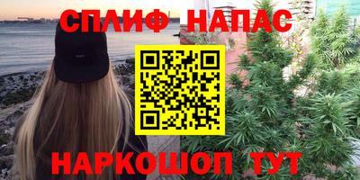 шишки Конаково