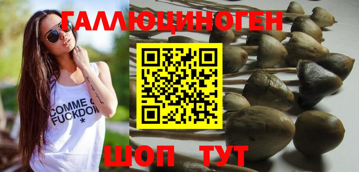 Галлюциногенные грибы прущие грибы  Вход с VPN  Гусев  Галлюциногенные грибы мухоморы 